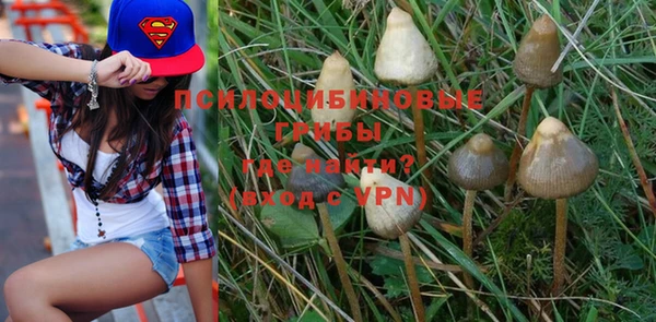 PSILOCYBIN Кинешма
