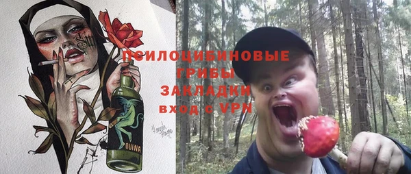 PSILOCYBIN Кинешма