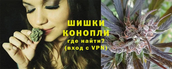 PSILOCYBIN Кинешма