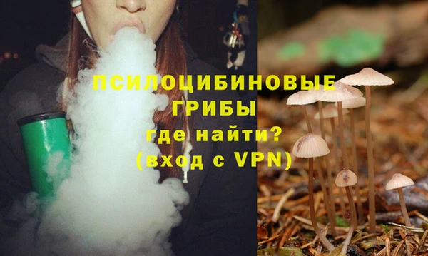 PSILOCYBIN Кинешма