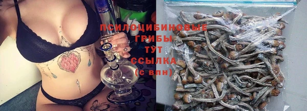 PSILOCYBIN Кинешма
