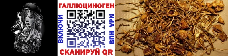 кракен как зайти  Нефтеюганск  Псилоцибиновые грибы Cubensis  где можно купить наркотик 
